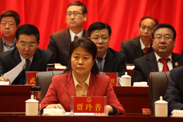 9市人大常委会副主任贾玲香在主席台前排就坐 (2)_调整大小.JPG