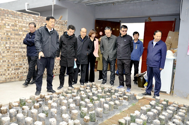 10调研组一行参观繁峙县苑家地扶贫移民搬迁小区.jpg