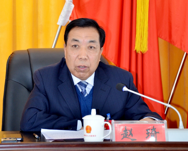 01县人大常委会主任赵琦作重要讲话.JPG