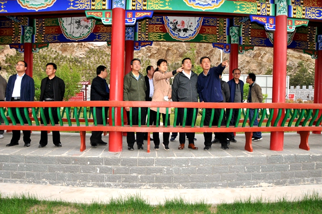 嗲欧安组一行在五寨南山生态治理区实地查看DSC_4084.JPG