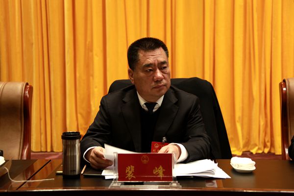 副市长裴峰列席会议.jpg