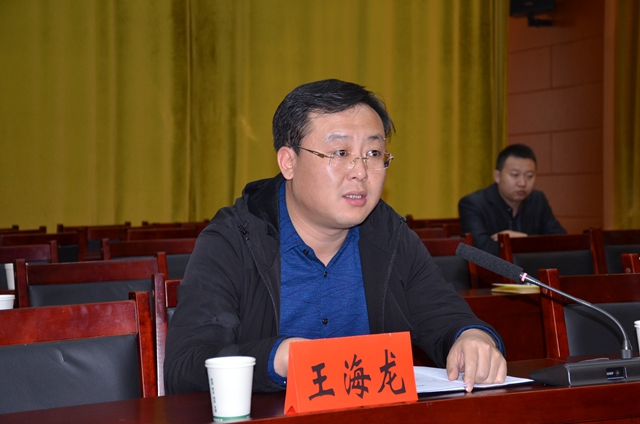王海龙副县长汇报项目建设情况.JPG