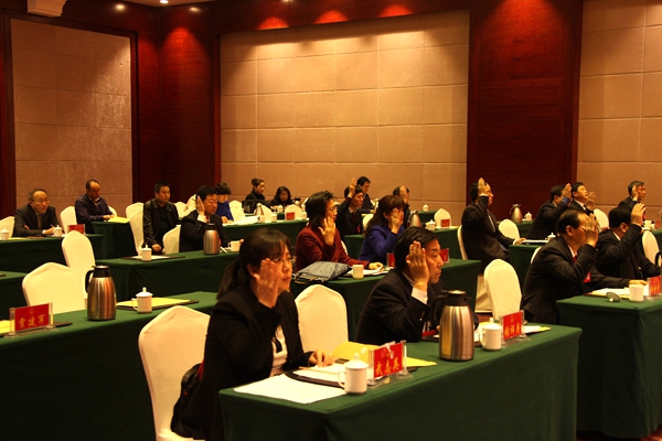 7举手表决IMG_8695.JPG