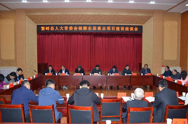 繁峙县人大常委会视察全县重点项目座谈会.JPG