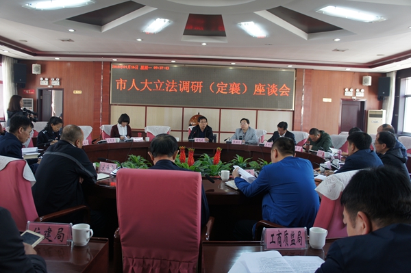 与定襄县有关部门负责人座谈.jpg