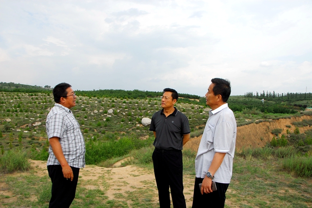 DSC_0155_看图王_副本.jpg